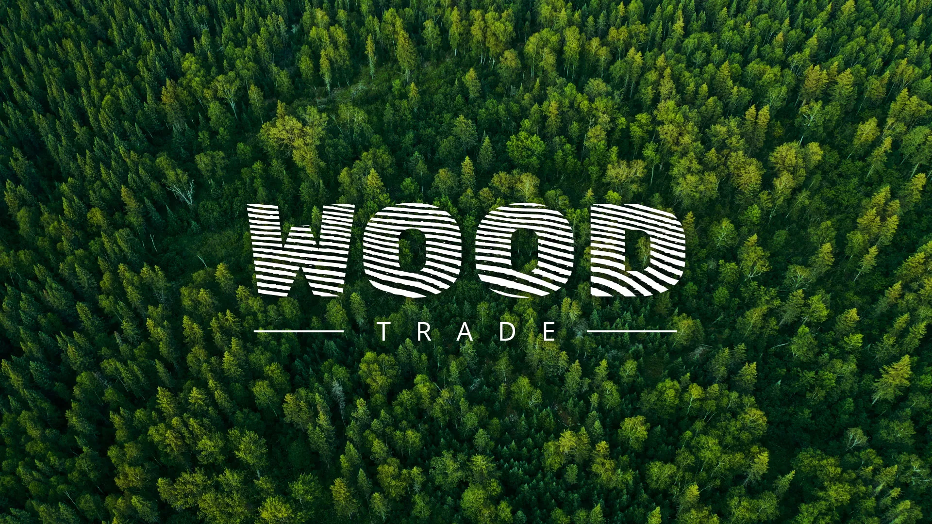 Разработка интернет-магазина компании «Wood Trade» в Медногорске